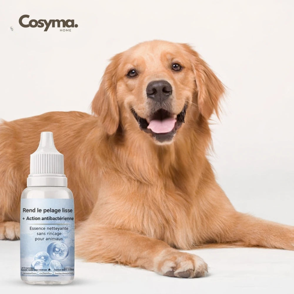 Gouttes de shampoing rafraîchissantes pour le pelage