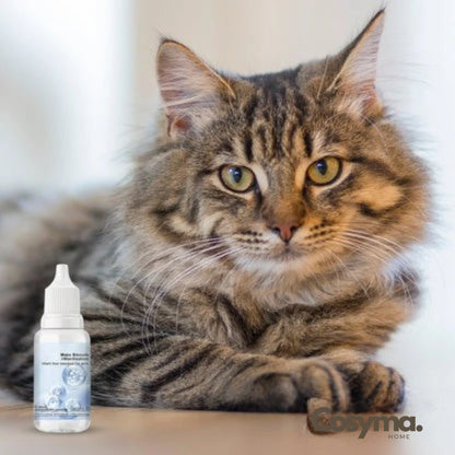 Gouttes de shampoing rafraîchissantes pour le pelage