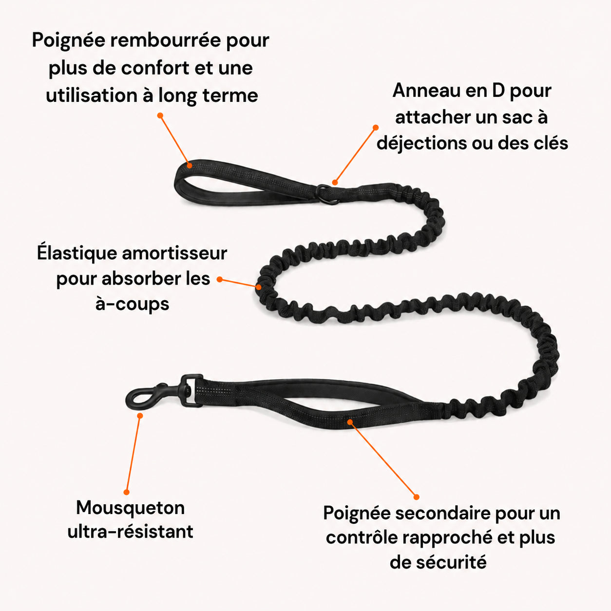 Laisse élastique pour chien
