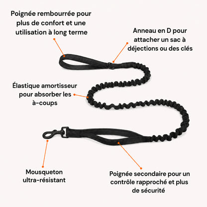 Laisse élastique pour chien