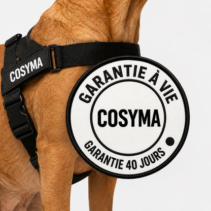 Harnais anti-traction pour chien