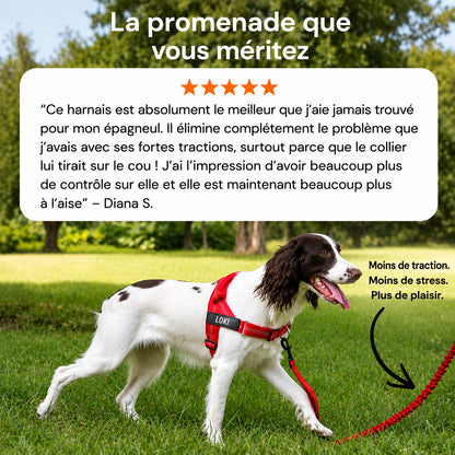 Harnais anti-traction pour chien