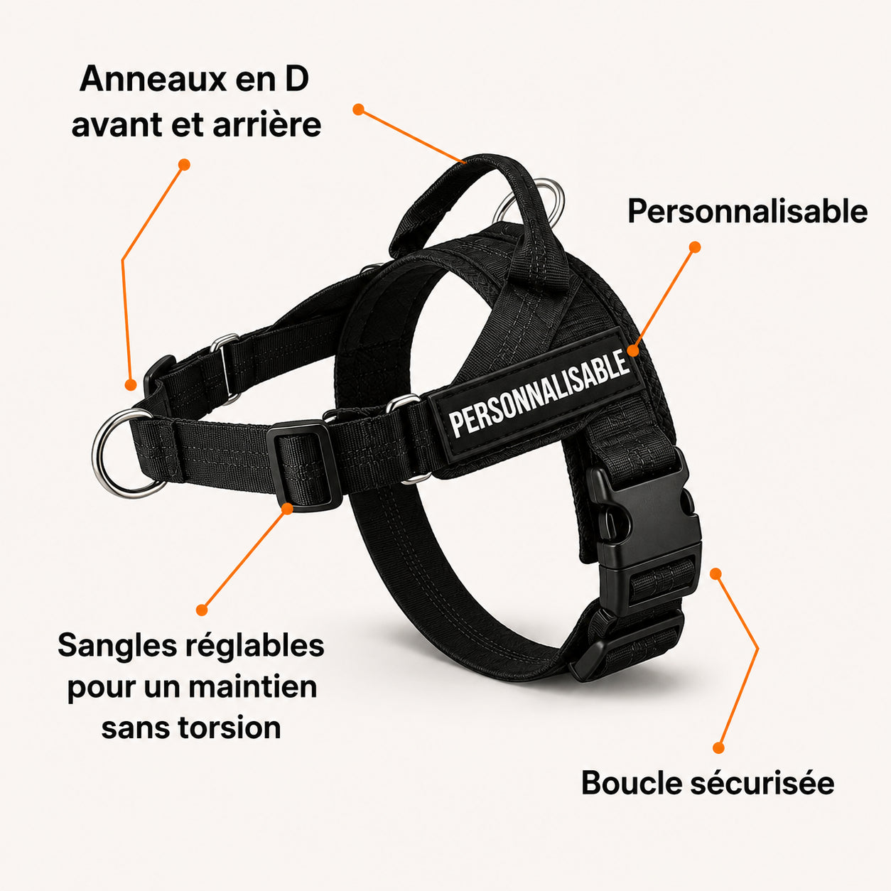 Harnais anti-traction pour chien