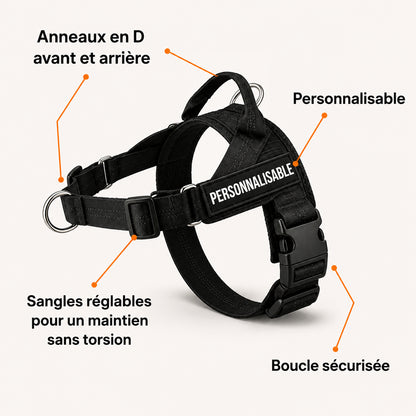 Harnais anti-traction pour chien
