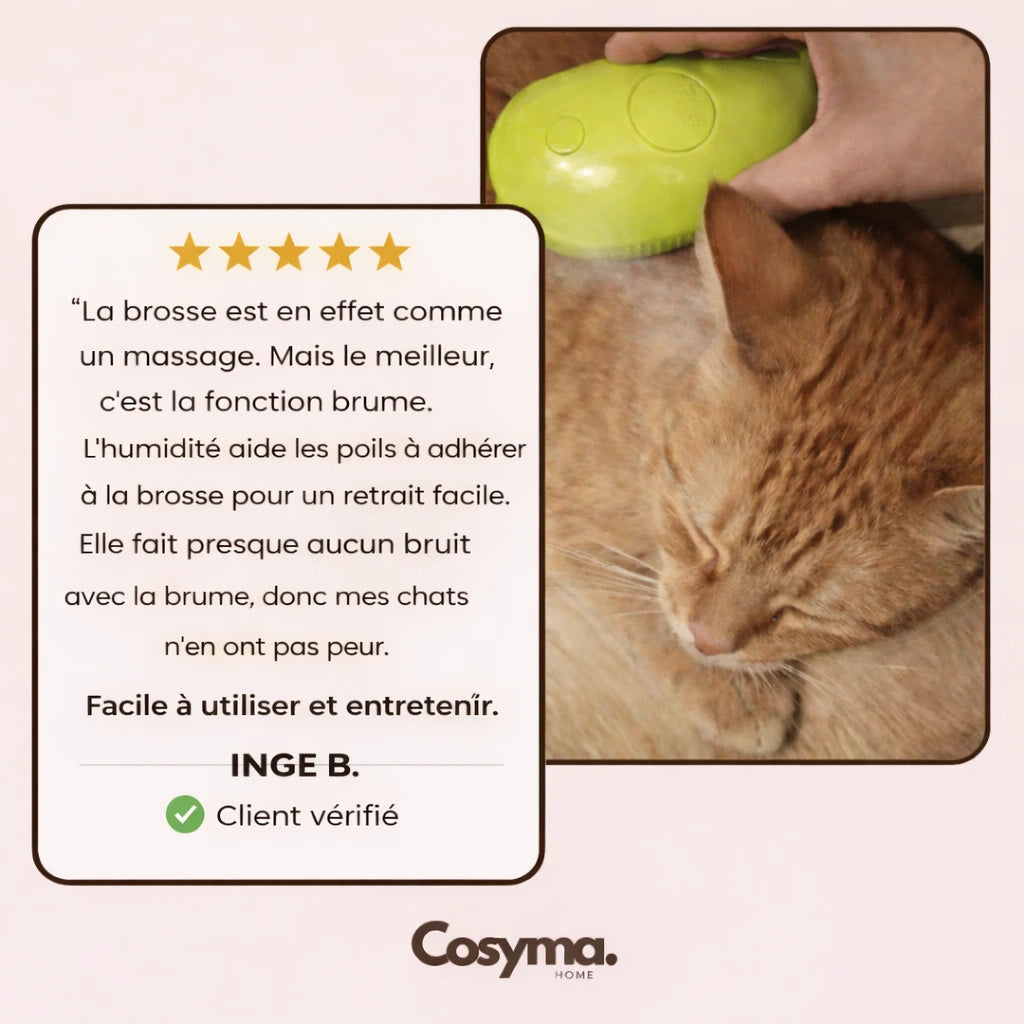 Brosse de toilettage pour animaux de compagnie