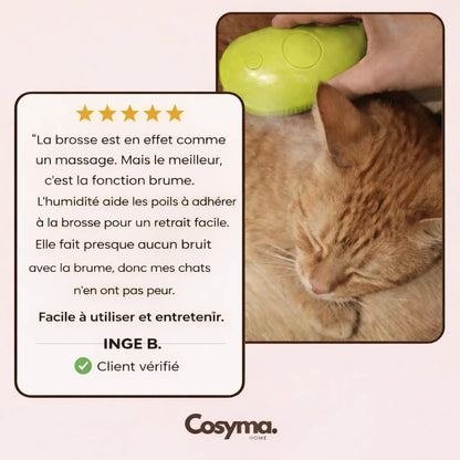 Brosse de toilettage pour animaux de compagnie