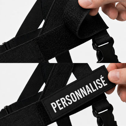 Harnais anti-traction pour chien
