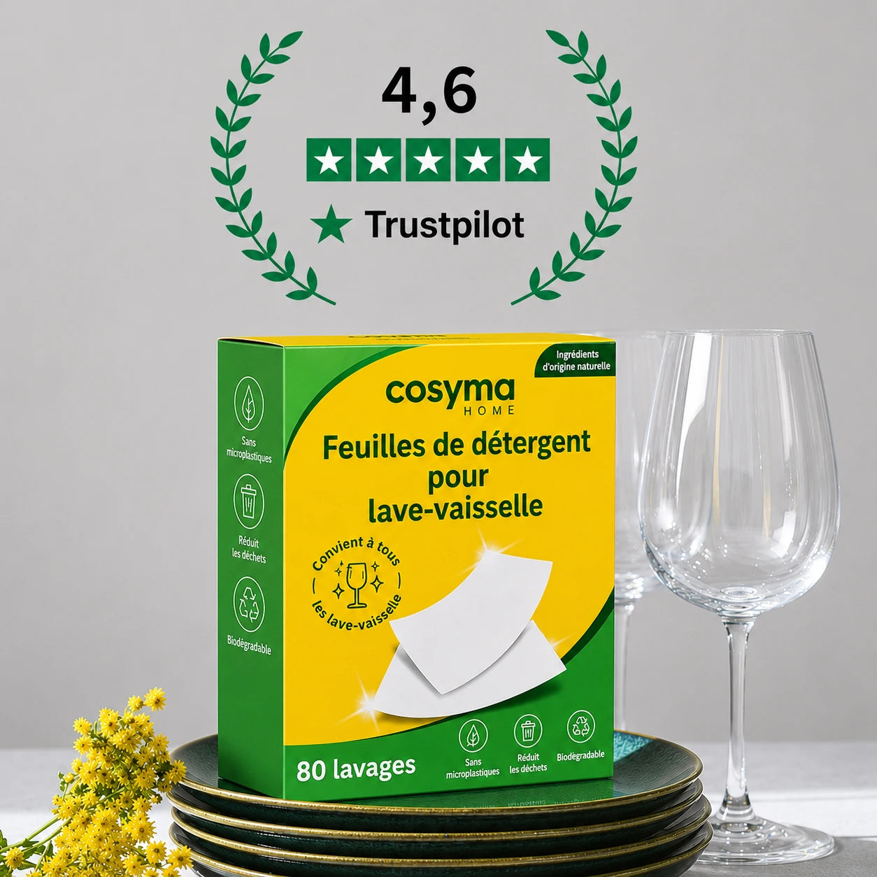 Feuilles de lave-vaisselle écologiques