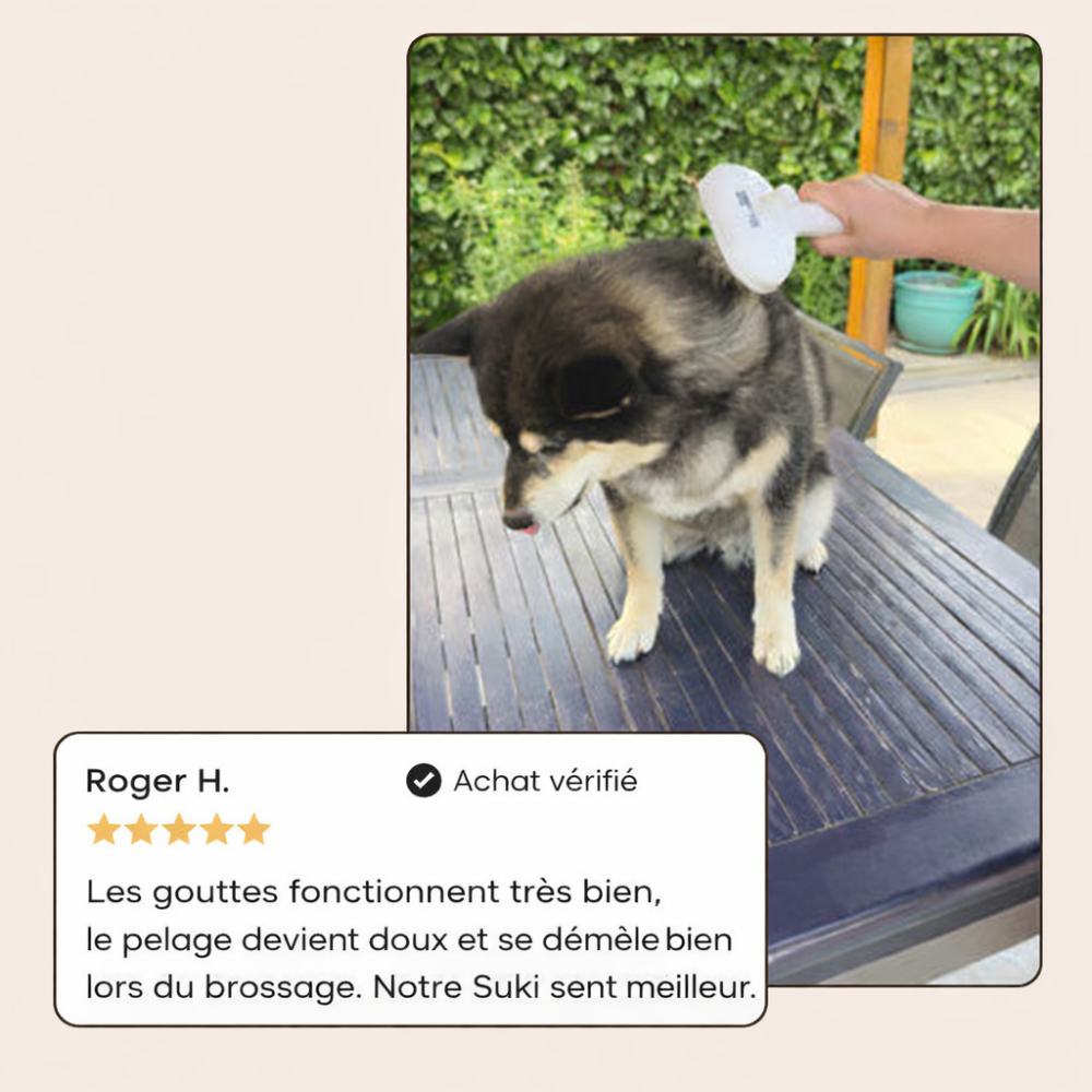 Gouttes de shampoing rafraîchissantes pour le pelage