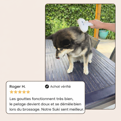 Gouttes de shampoing rafraîchissantes pour le pelage