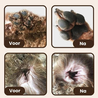 Tondeuse de précision professionnelle pour animaux de compagnie