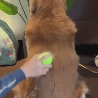 Brosse de toilettage pour animaux de compagnie